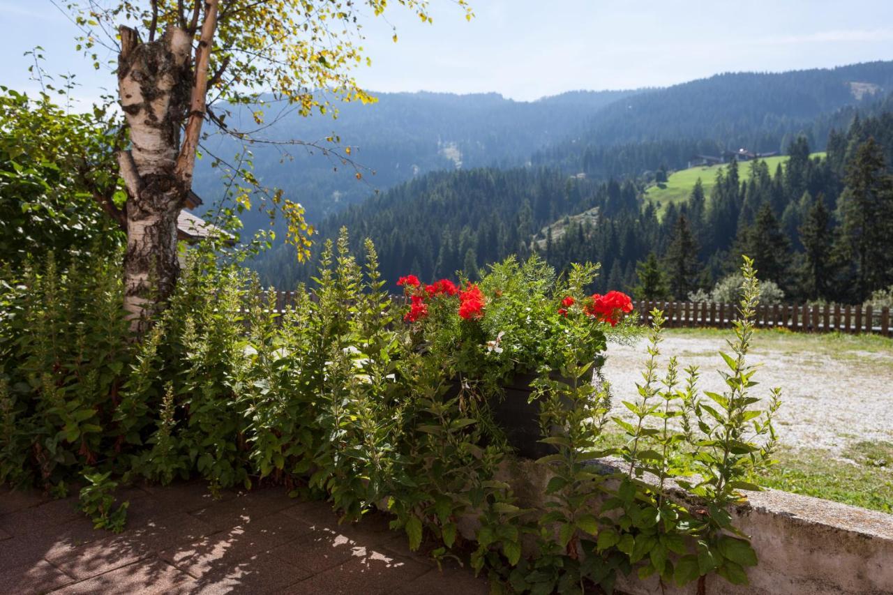 Alpenspitz Hotel