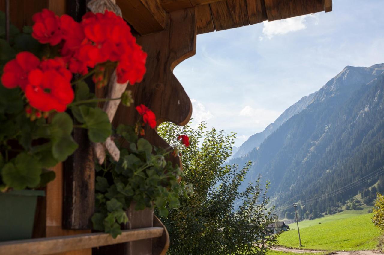 Alpenspitz 3*