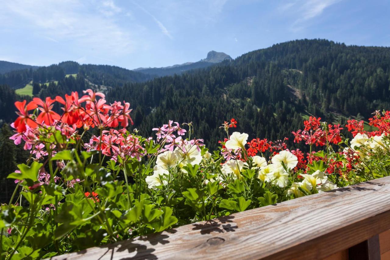 Hotel Alpenspitz 3*