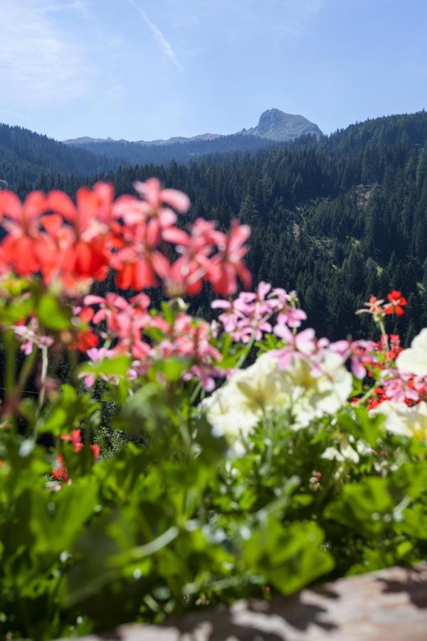 Alpenspitz Ratschings